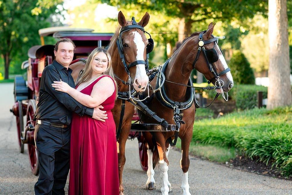 carousel-hero-element image-0